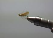 CDC Caddis