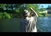 Fly fishing on the youghiogheny river